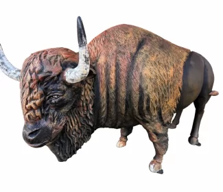 Life size realistic finish buffalo